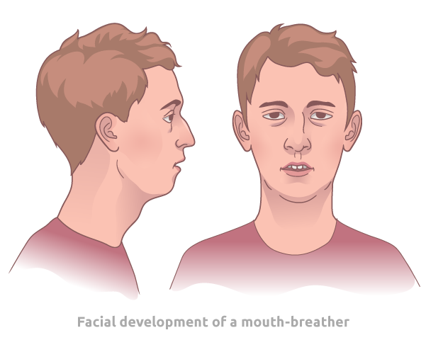 Facial Development Mouth