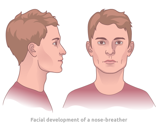 Facial Development Nose